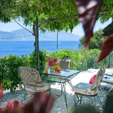 فيلة Amaryllis House *