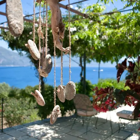 Amaryllis House فيلة فيسكاردو