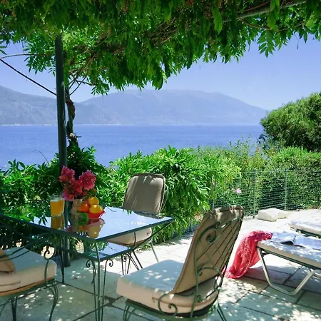 فيلة Amaryllis House