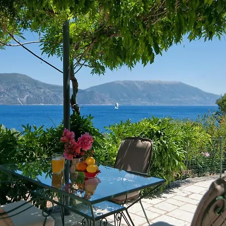 فيلة Amaryllis House