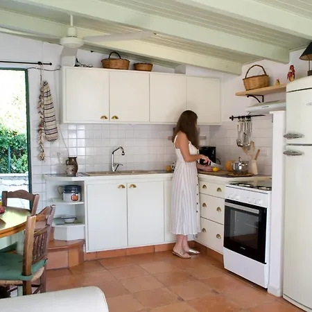 Amaryllis House *